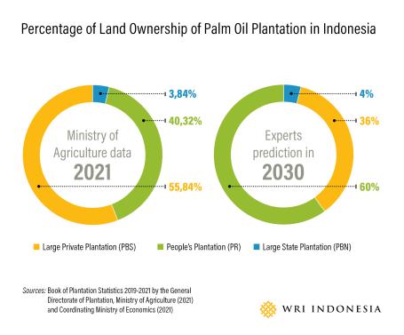 percentage-of-land-ownership-of-palm-oil-plantation-in-indonesia