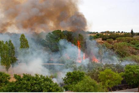 : Kebakaran hutan besar berkobar di dekat Barcelona, Spanyol pada tahun 2022