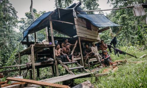 Masyarakat menggantungkan hidupnya pada hutan. Kredit foto: Mario Munthe untuk WRI Indonesia
