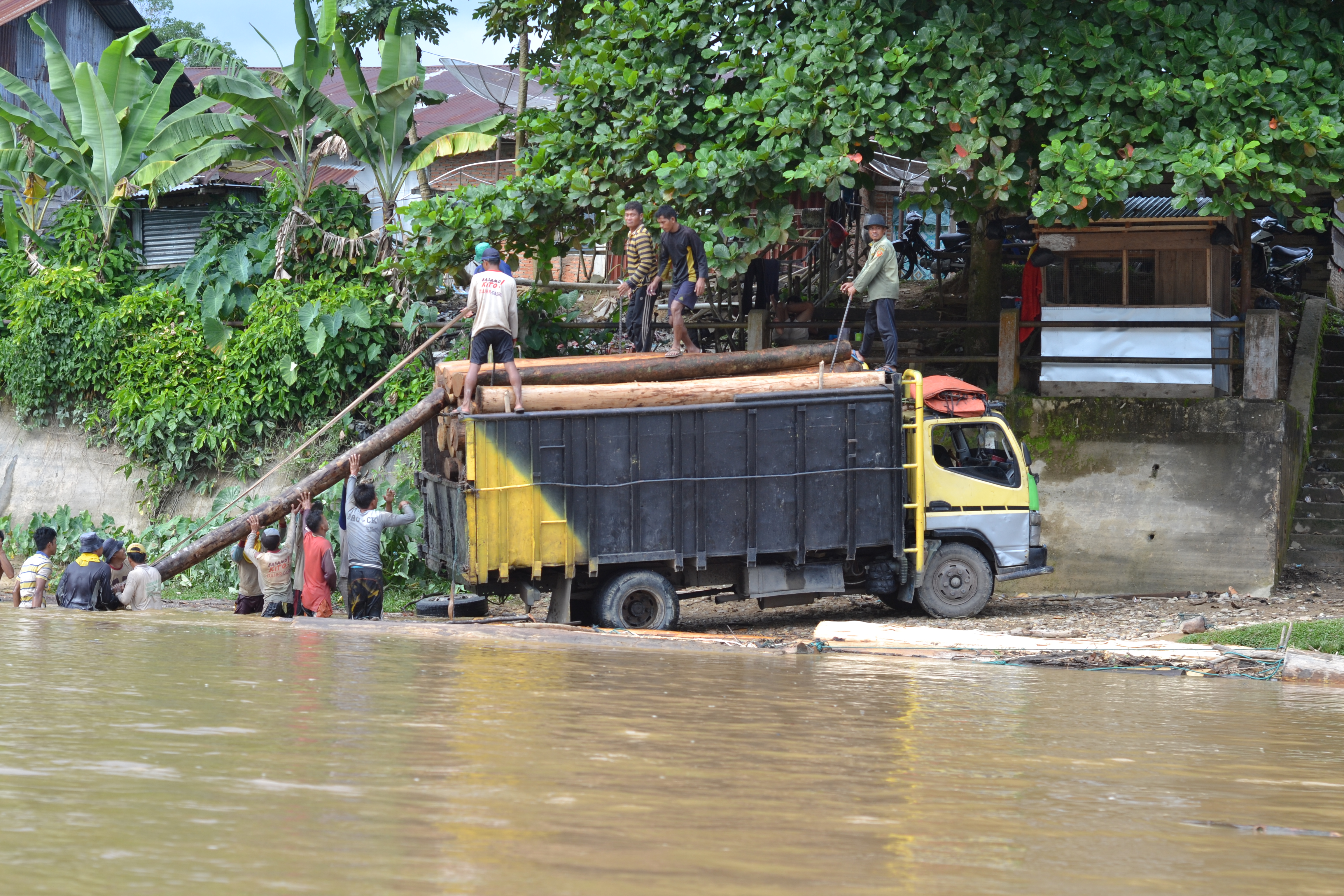 <p>Panen Kayu: Proses pengangkatan kayu yang telah tiba di Gema dengan menggunakan truk. Tim peneliti sempat mendapatkan ancaman dari seseorang di atas truk yang mengatakan akan menghancurkan kamera saat sedang mengambil foto. Foto oleh Wiraditma Prananta.</p>
