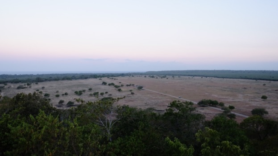 <p>Pemandangan Savana Bekol di kala senja dari atas menara pandang</p>
