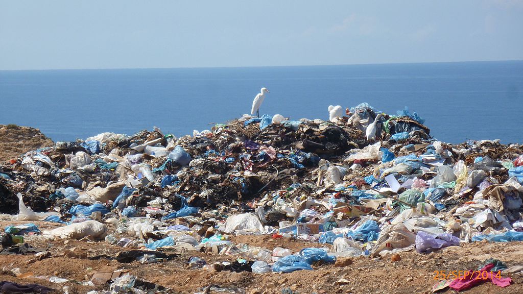 <p>Experts predict oceans will hold more plastic than fish by 2050. Photo by Belgueblimohammed2013/Wikimedia Commons</p>

